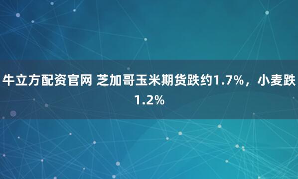 牛立方配资官网 芝加哥玉米期货跌约1.7%，小麦跌1.2%