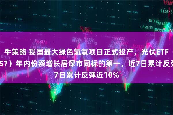 牛策略 我国最大绿色氢氨项目正式投产，光伏ETF（159857）年内份额增长居深市同标的第一，近7日累计反弹近10%